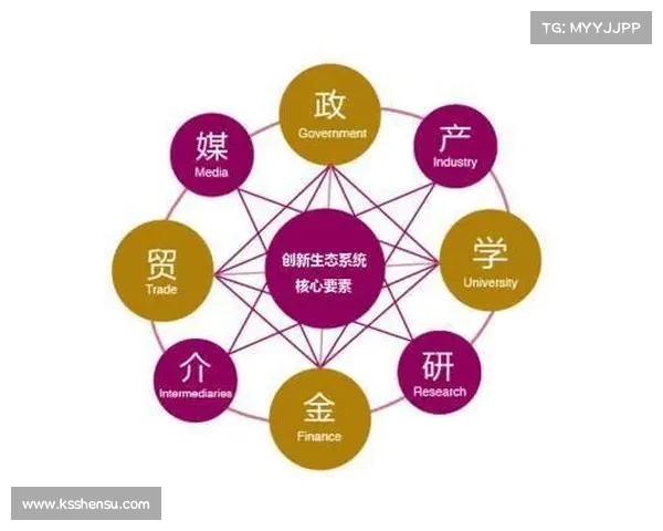 法甲俱乐部管理模式的创新与挑战分析：从财务运营到球队建设的全方位探讨